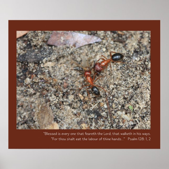 Salm 128: 1, 2 Poster de Escritura (Frente)