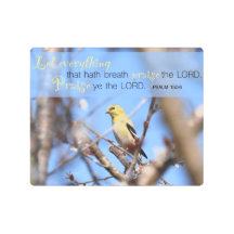 Salm 150:6 - Goldfinch