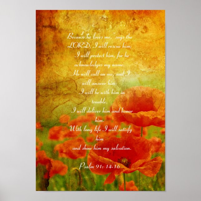 Salm 91 Red Poppies poster (Frente)