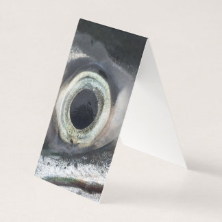 Salmão Eye