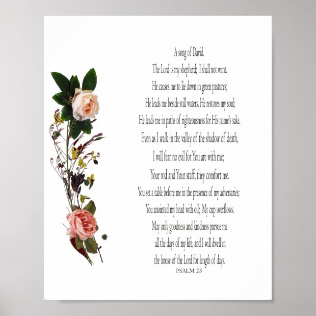 Salmo, Rosa, Papel Poster de Valor (Matte) (Frente)