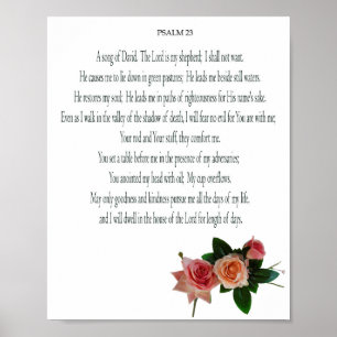 Salmo, Rosa, Papel Poster de Valor (Matte)