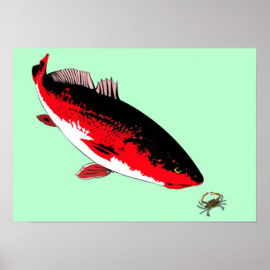 Salmonetess contra o impressão do caranguejo