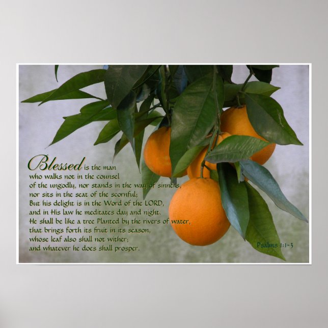 Salms 1:1-3 Scripting Impressão (Frente)