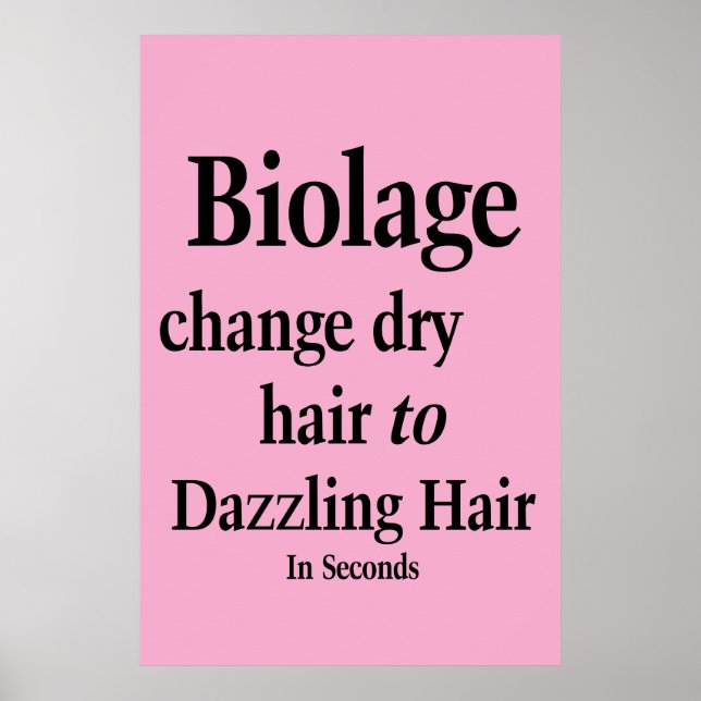 Salon Barbershop Poster Hair Dry to Dazz Biolage  (Frente)