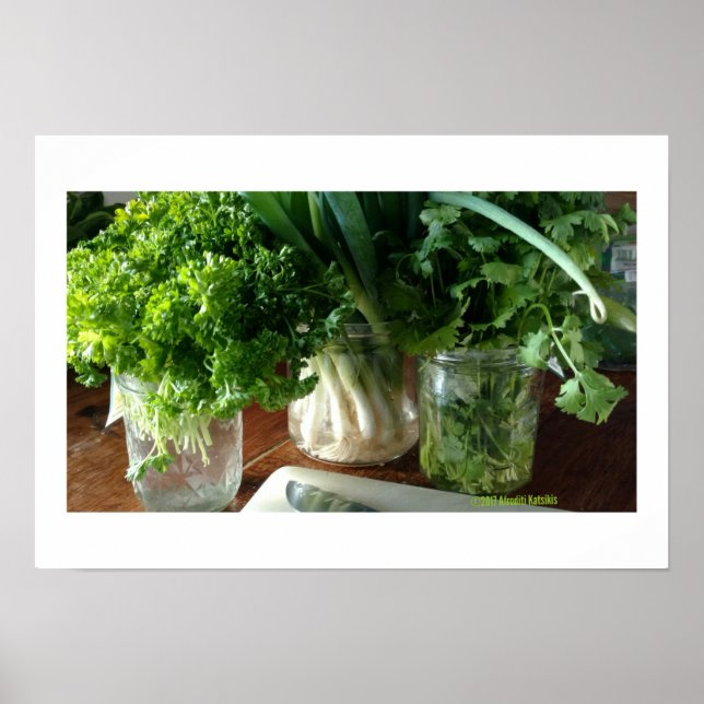 Salsa, Cilantro e Cebolas verdes Poster (Frente)