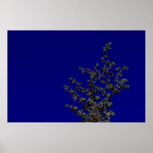Saltbush Atriplex Leaf Nature Poster minimalista