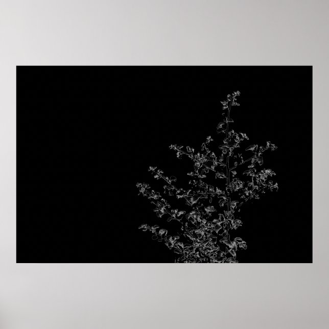 Saltbush Atriplex Leaf Nature Poster minimalista (Frente)