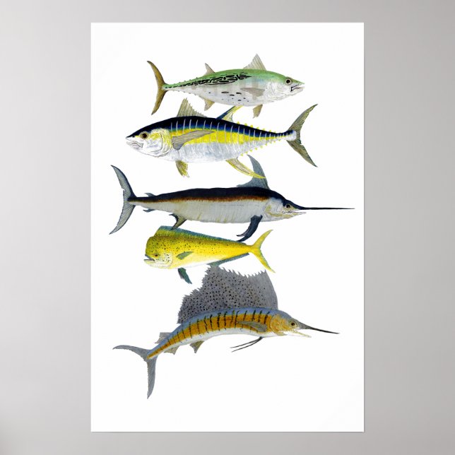 Saltwater Gamefish Art Poster (Frente)