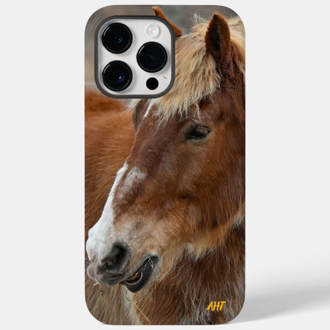 Salvamento em cavalos AHT (Verso)