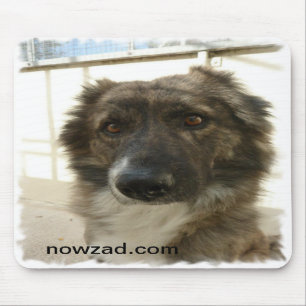 Salvamento Wylie Mousepad de Nowzad