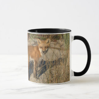 "Salvar caneca da raposa do nosso planeta"