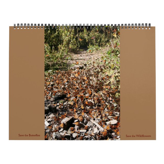 Salvar o Calendário de 2023 de Borboletas (Capa)