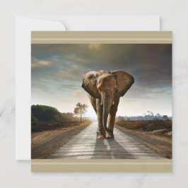 Salvar o Cartão de Impressão Hi-Def do Elefante em