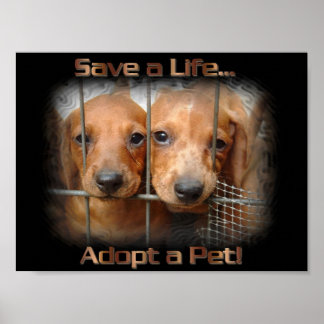 Salvar uma vida Adotar um poster Pet