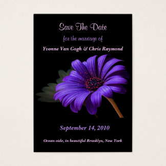 Salve A Data Bright Purple Daisy III