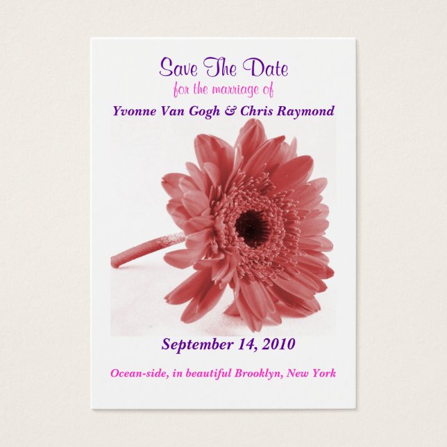 Salve A Data Daisy Dusty Rosa (Frente)