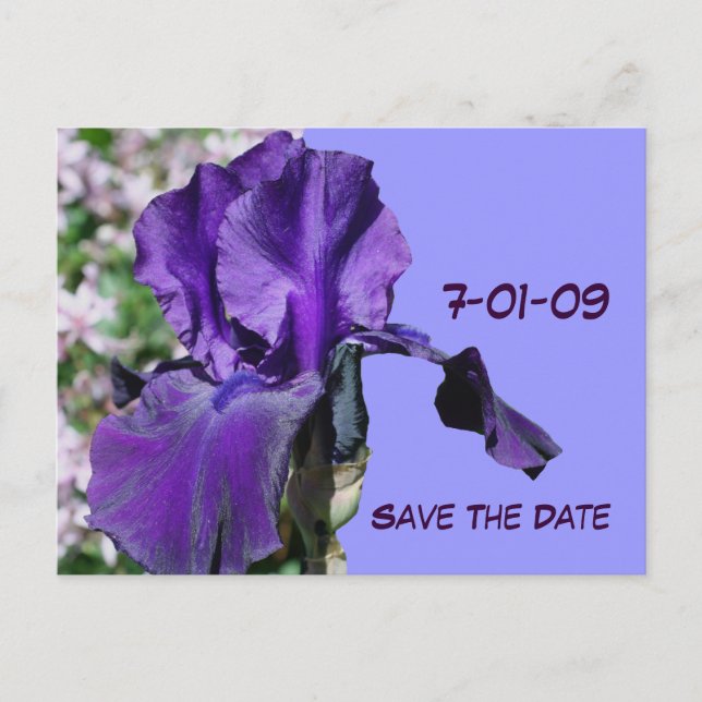 Salve A Data Do Cartão Postal Da Flor Iris Roxo (Frente)