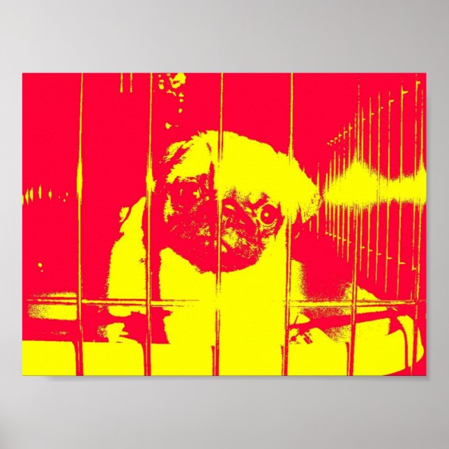 Salve-me, Pug Poster (Frente)