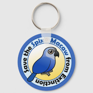 Salve o Chaveiro de Macaw do Spix