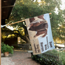 Salve o Esplaash de Cavalos Selvagens da América