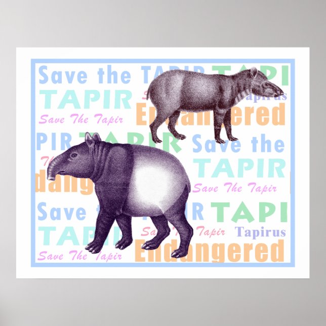 Salve o Poster Tapir - Tapirs Americano e Asiático (Frente)