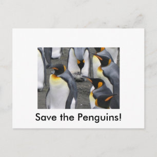 Salve os Pinguins! Cartão postal