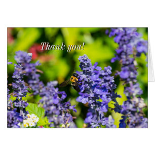 Salvia Com Cartões de agradecimentos De Bumblebee