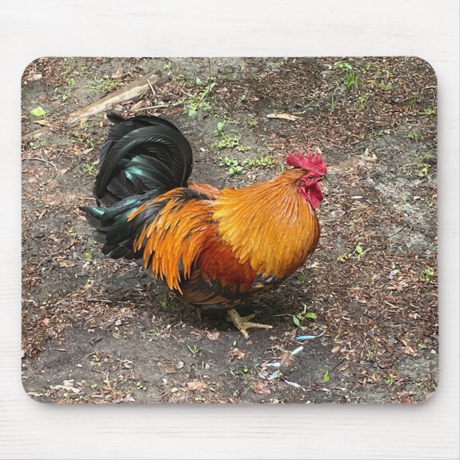 Sam The Rooster Mousepad (Frente)