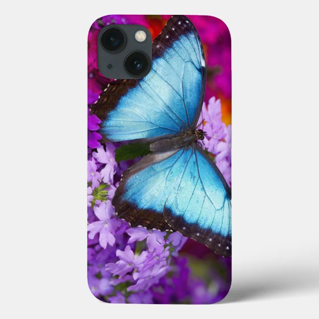 Sammamish Washington Borboleta Tropical (Verso)