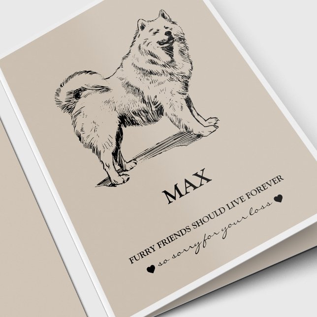 Samoyed do melhor amigo dos Cartões de (Pet memorial, pet loss, dog lover sympathy card for a Samoyed dog)