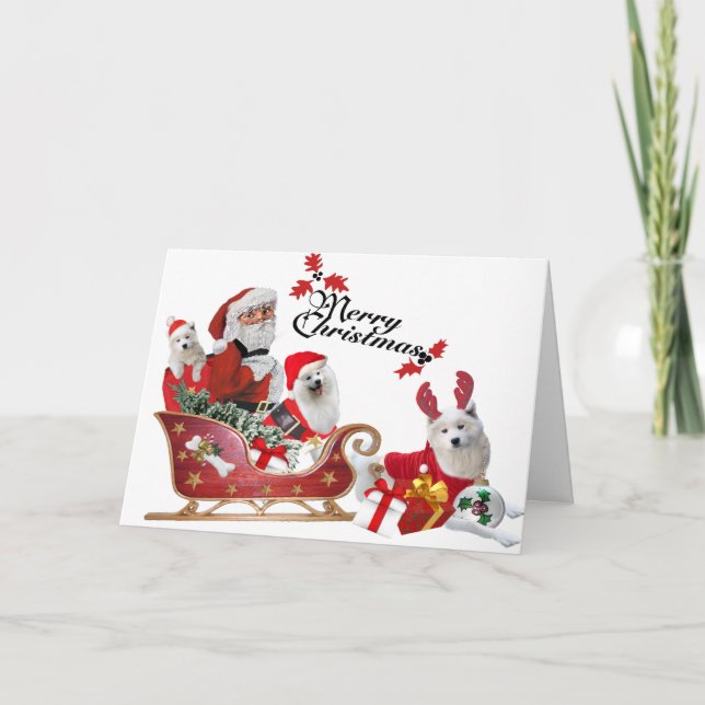 Samoyed e Papais noeis em cartões Sleigh (Frente)