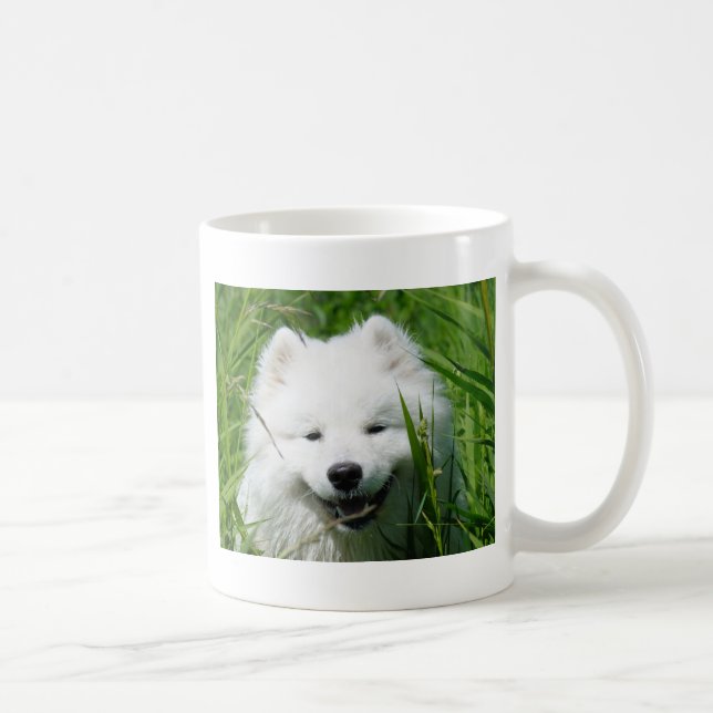 Samoyed na caneca da grama (Direita)