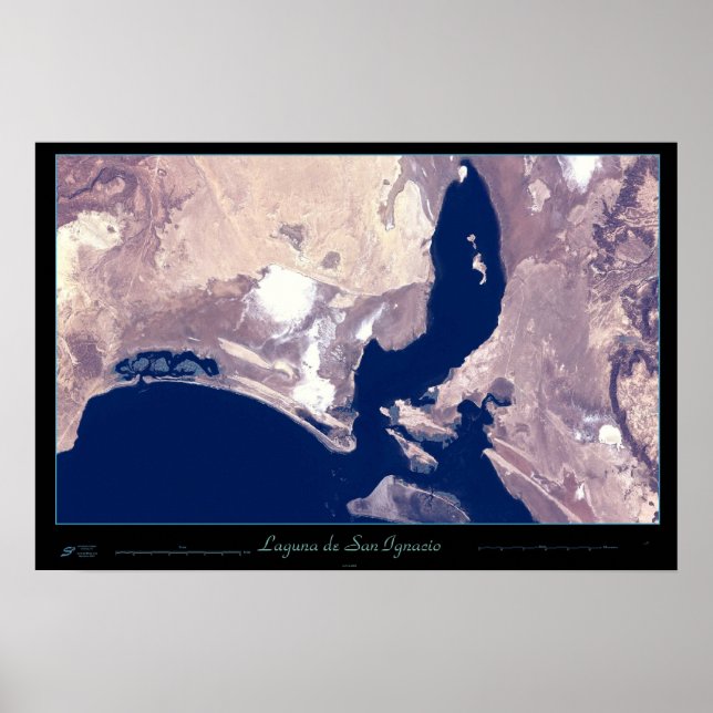 San Ignacio Lagoon, Baja CA Sur, poster do México (Frente)