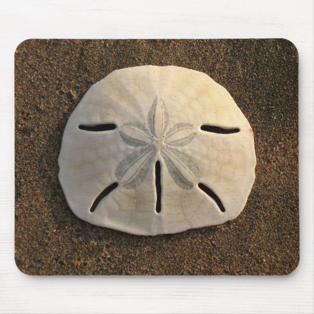 Sand Dollar Sea Shell Sand Beach Mousepad (Frente)