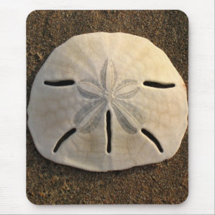 Sand Dollar Sea Shell Sand Beach Mousepad