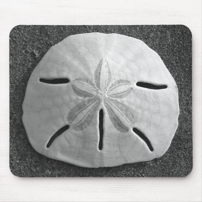 Sand Dollar Seashell Sand Beach Mousepad (Frente)