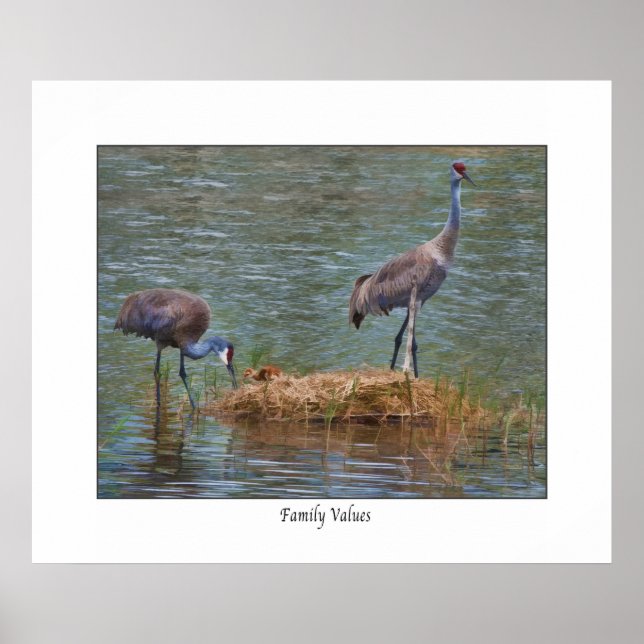 Sandhill Crane " Family Values" Impressão (Frente)