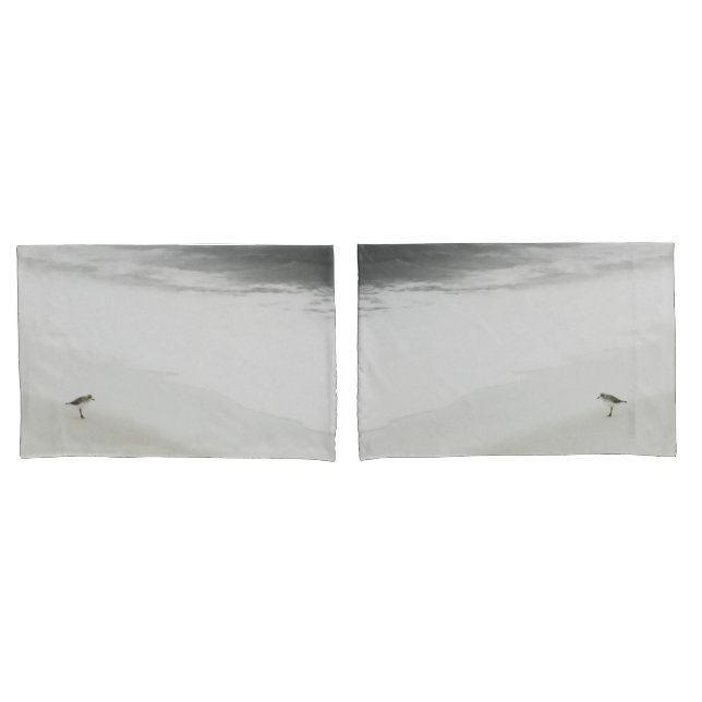 Sandpiper costeiro na praia (Frente - conjunto)