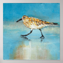 Sandpiper North American Wading Art Impressão