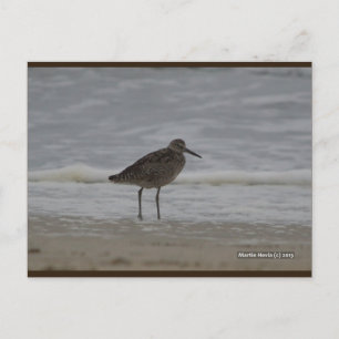 Sandpiper V   Blue Beach Song™ Cartão Postal