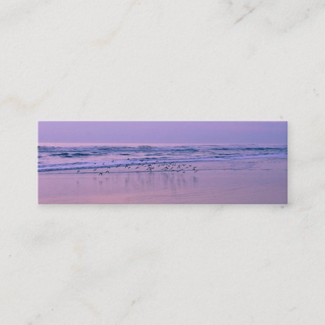 Sandpipers na praia em Placas de Contato do Sunris (Frente)