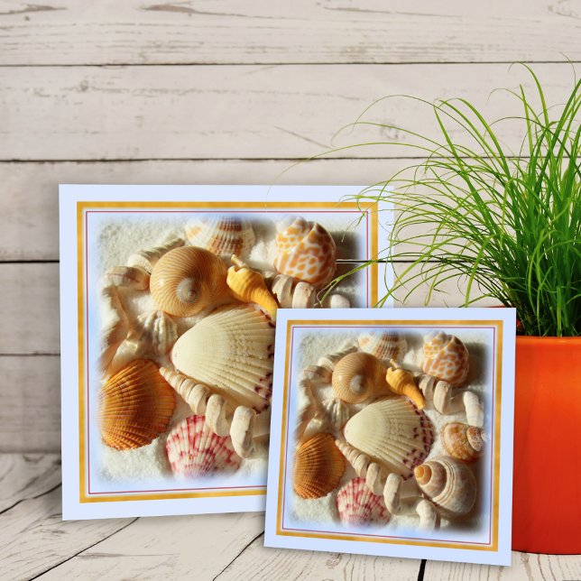 Sandy Beach, Azulejo de cerâmica Tropical Seashell (Criador carregado)