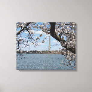 SANGUE DE CHERRY #1 NA CANVAS 20 "x 16"