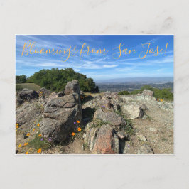 Sangue de San Jose! Cartão Postal