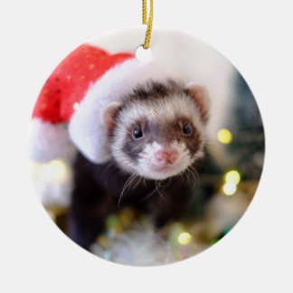 Santa Hat Ferret Enfeites de natal