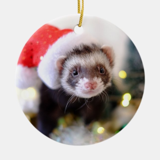 Santa Hat Ferret Enfeites de natal (Frente)