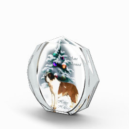 Santo Bernard Christmas