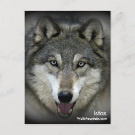 Santuário Wolf Mountain - Cartão Postal Istas