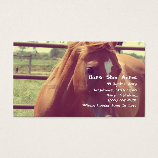 Sapato de Cavalo Acres Foco Suave Sorrel (Frente)